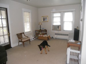 living room before renovation makeover