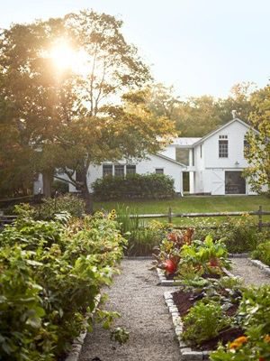dream organic kitchen garden with raised beds and pea grave pathways surrounded by a wooden fence with a white farmhouse in the background