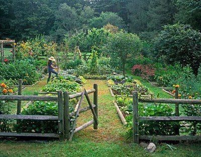 dream organic kitchen garden with wood fencing and raised beds