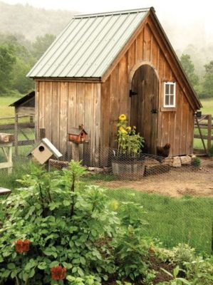 natural wood chicken coop with board and batten siding