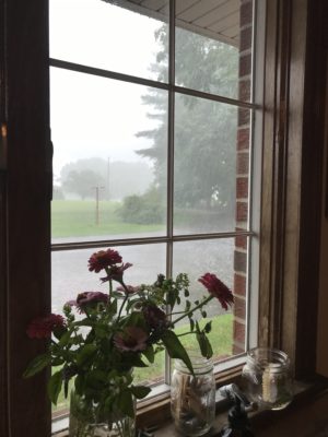 Veiw from kitchen window of torrential rain