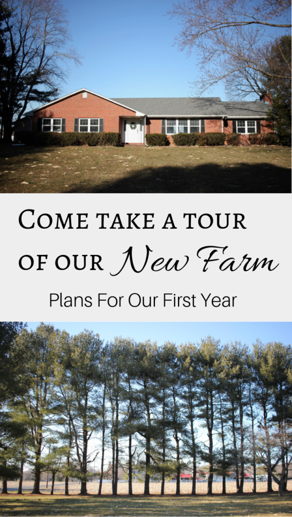Winter farm tour plans for our first year on the homestead