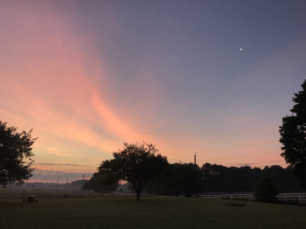 Sunrise and the moon. Beautiful mornings on the farm for our first year.