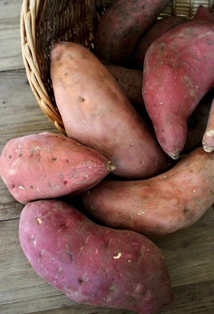 Grow Sweet Potatoes in a no-dig garden. How to Guide.