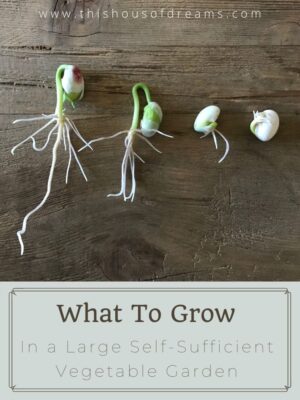 What to grow in this year's garden plan