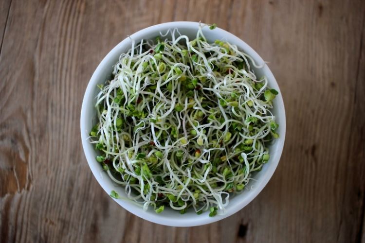 How to Grow Broccoli Sprouts in a Jar