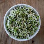 Easy Steps to Grow Broccoli Sprouts in a Jar