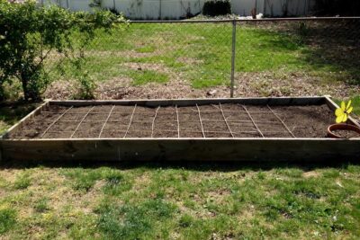 large raised bed vegetable garden with square foot garden girds made from bamboo