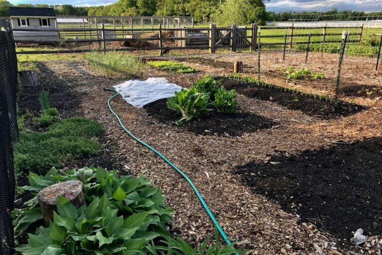 Square Foot Garden Grid