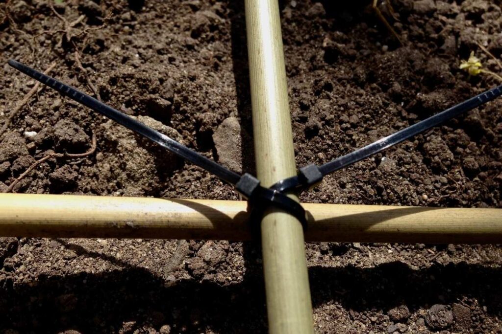 using zip ties to connect two bamboo stakes together