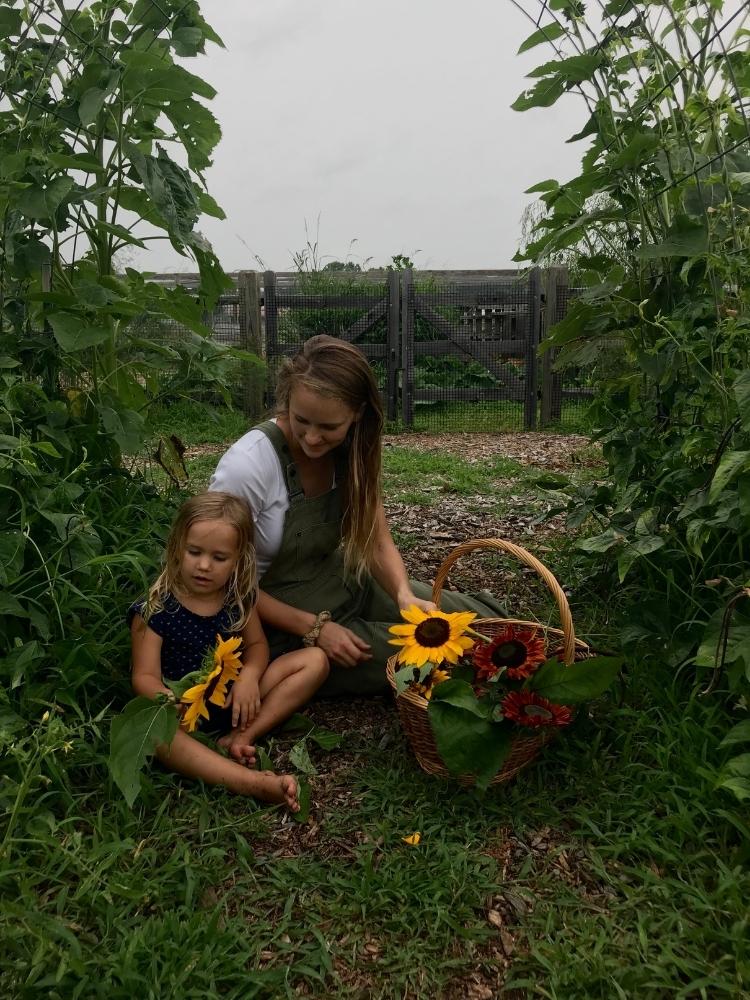 What to plant for a fall garden. Mother and daughter sitting in the garden under a trellis of Long Purple Chinese Beans. Looking at sunflower and sitting next to a harvest basket.