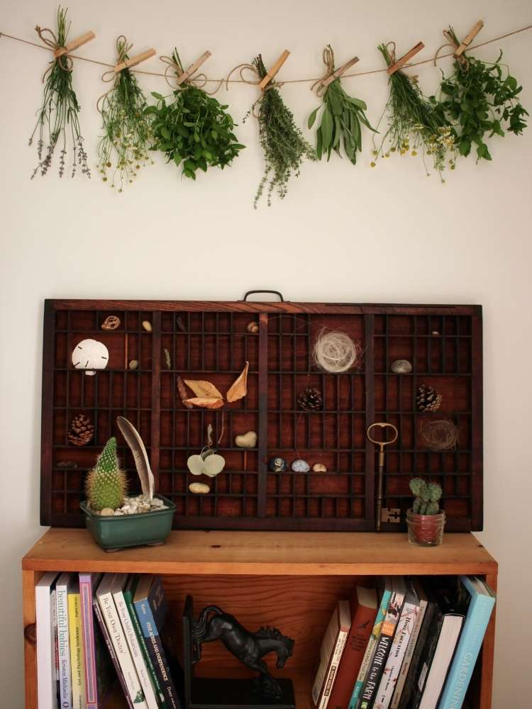 A string of twine with fresh herbs hung by clothes pins to dry hung above an old printers drawer used as a display case for nature finds.