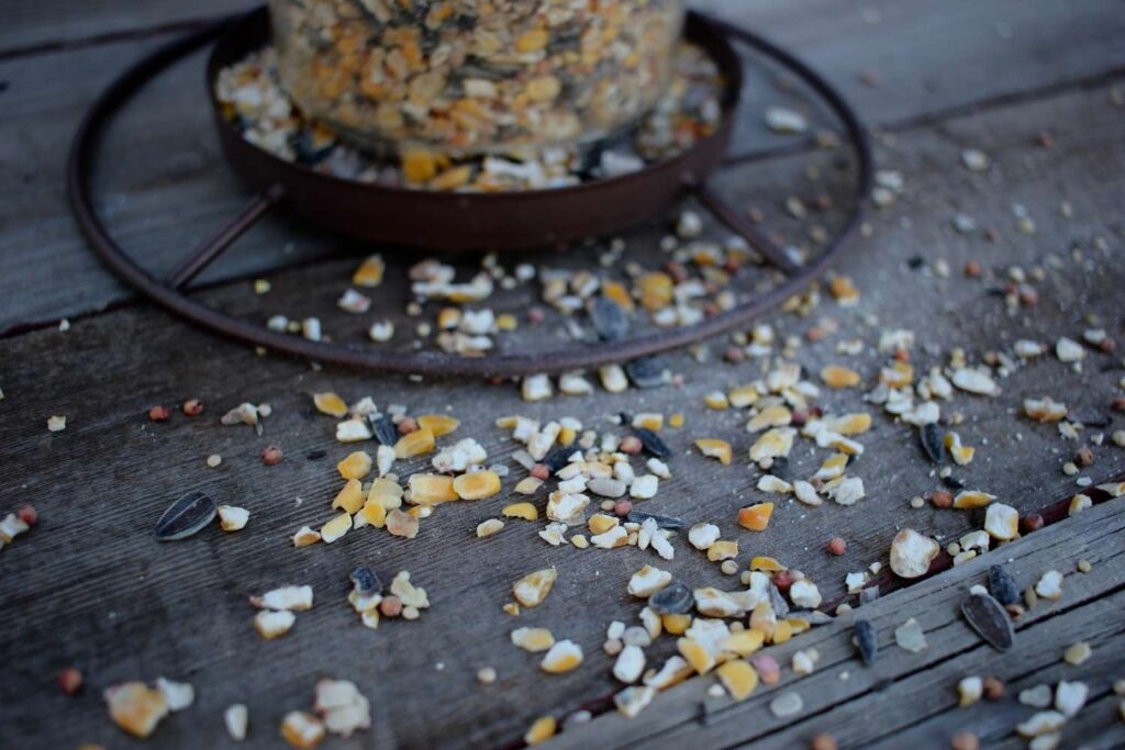 An up close picture of spilled bird seed laying on an old table with a bird feeder in the background.