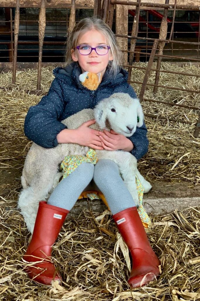 A young girl with purple glasses and bright red boots holding a romnie lamb on her lap.