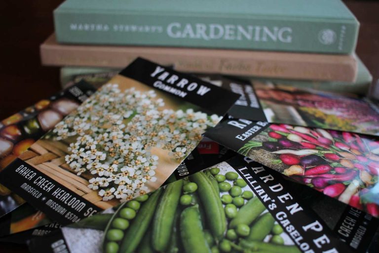 Indoor Seed Starting Guide: from seed to planting out